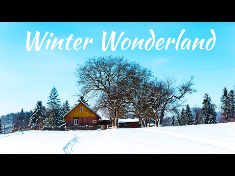 Winter Wonderland - Cinematic Music Video [#wondershots] [@WonderHindi]