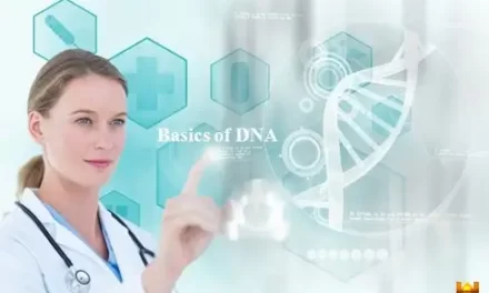 डीएनए [DNA] बेसिक्स – सरल एवं सटीक सचित्र विश्लेषण