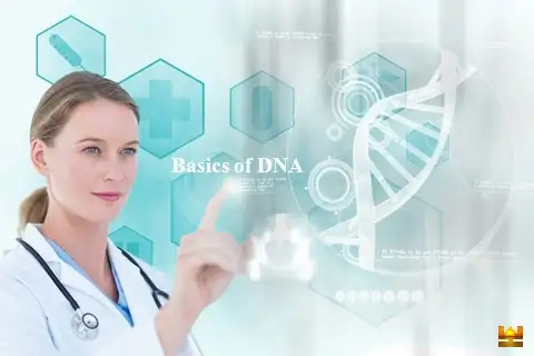 डीएनए [DNA] बेसिक्स – सरल एवं सटीक सचित्र विश्लेषण