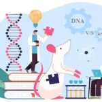 à¤¡à¥€à¤�à¤¨à¤� à¤”à¤° à¤†à¤°à¤�à¤¨à¤� [DNA and RNA] : à¤…à¤‚à¤¤à¤° à¤�à¤µà¤‚ à¤¸à¤®à¤¾à¤¨à¤¤à¤¾à¤�à¤‚