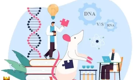 डीएनए और आरएनए [DNA and RNA] : अंतर एवं समानताएं