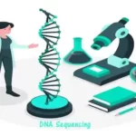 डीएनए अनुक्रमण [DNA Sequencing]: अर्थ, मेथड व अनुप्रयोग