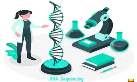 डीएनए अनुक्रमण [DNA Sequencing] मेथड व अनुप्रयोग