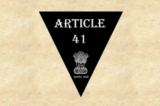 Article 41